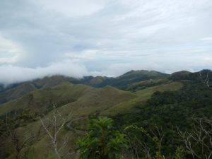 altos de campana