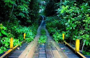 parque nacional soberania