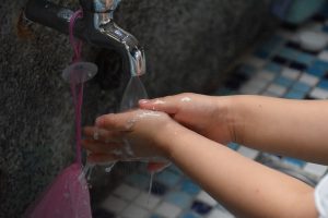 sanitizacion importancia